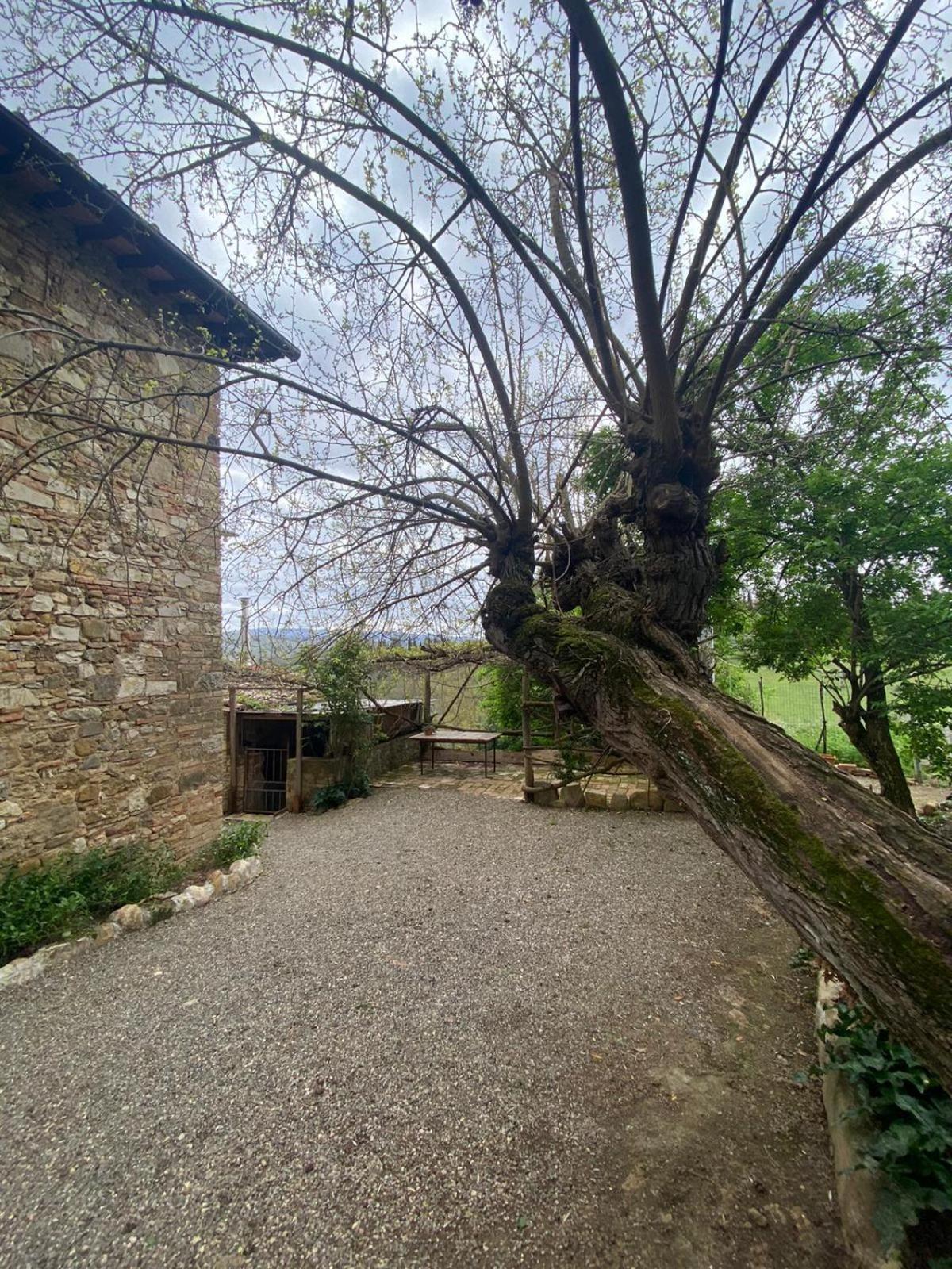 Campora House Hotel Tavarnelle Val di Pesa Exterior foto